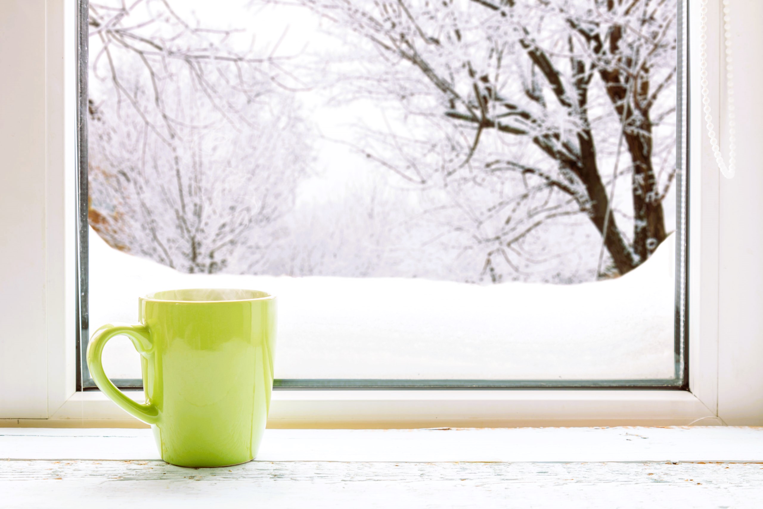 winter windows