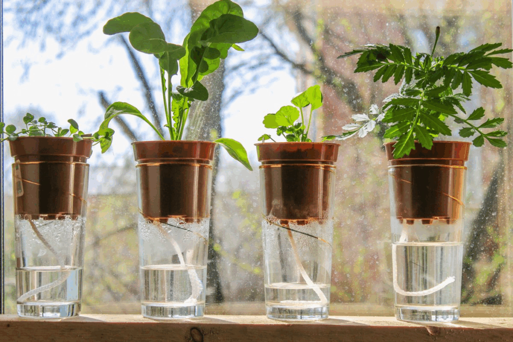 Self watering indoor plants using wick system with glasses