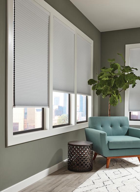 Windows Blinds For Canadian Rentals